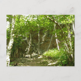 Cartão Postal Trilha de Descoberta Frazier em Shenandoah Fotogra
