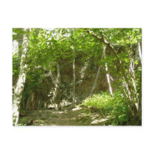 Trilha de Descoberta Frazier em Shenandoah Fotogra