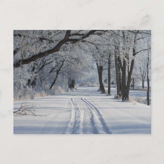 Cartão Postal Trilha de inverno (Frente)