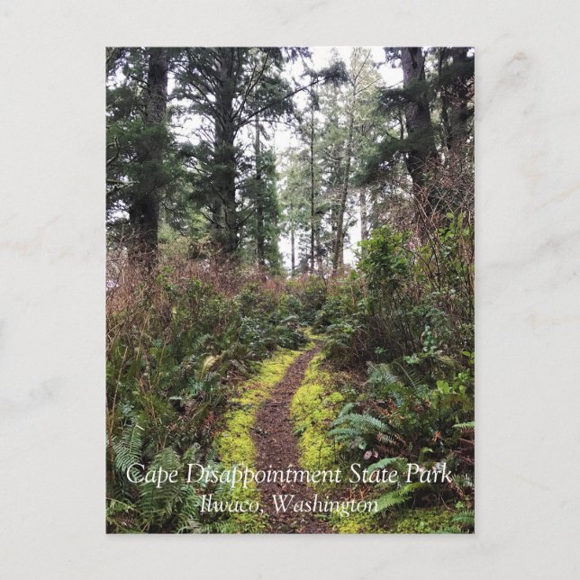 Cartão Postal Trilha de Loop da Floresta Costeira, Desapontament (Frente)