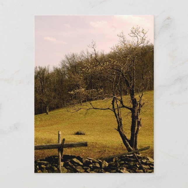 Cartão Postal Trilha do Appalachian da PLACA de posto (Frente)