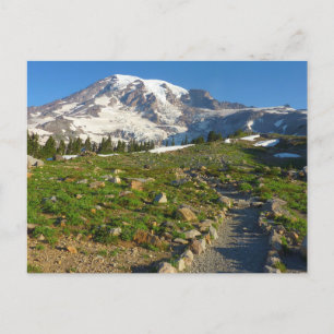 Cartão Postal Trilha do Monte Rainier Skyline
