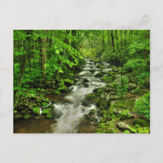 Cartão Postal Trilha do Motor da Forja de Raios