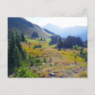 Cartão Postal Trilha Hurricane Ridge