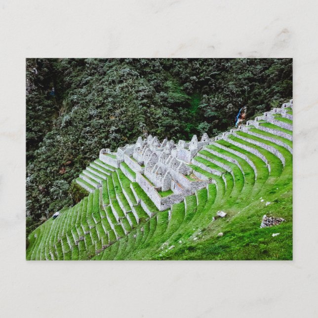 Cartão Postal Trilha Inca Machu Picchu Peru - Fotografia de Viag (Frente)