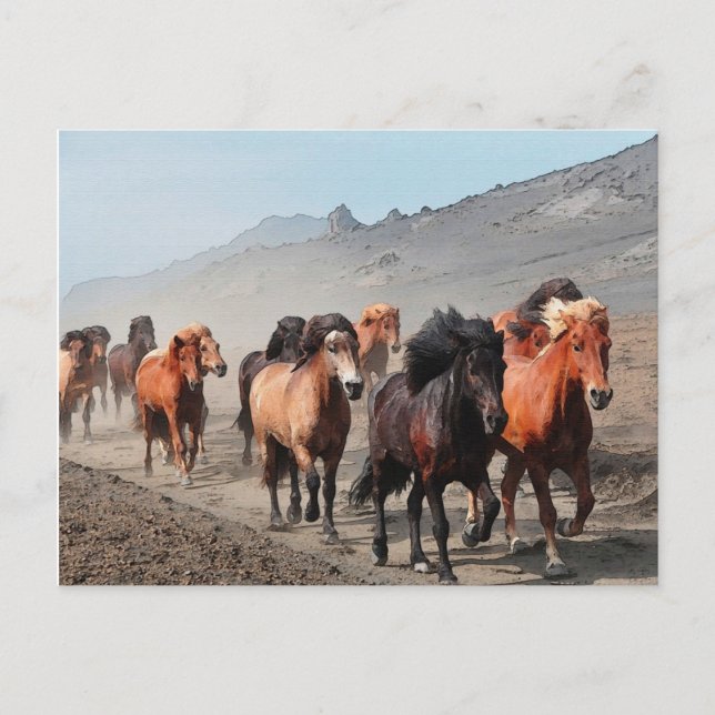 Cartão Postal Trilha Ocidental (Frente)