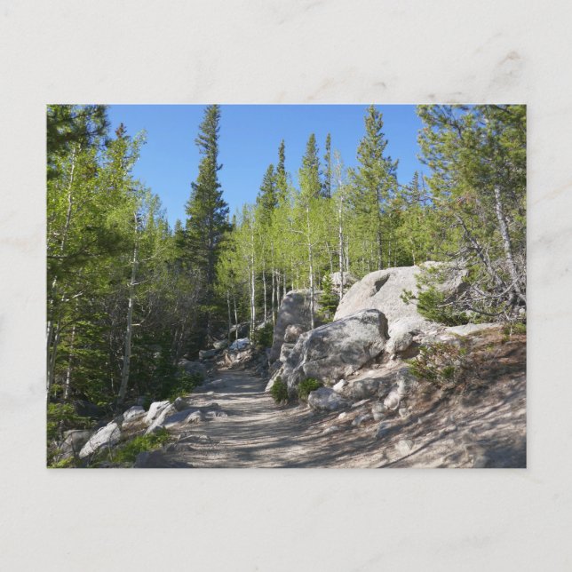 Cartão Postal Trilha para Alberta Falls (Frente)