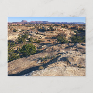 Cartão Postal Trilha Pothole Point no Canyonlands National Park