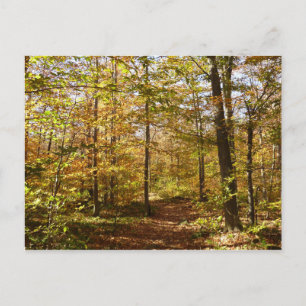 Cartão Postal Trilha Wolf Rocks no Outono Paisagem da Pensilvâni