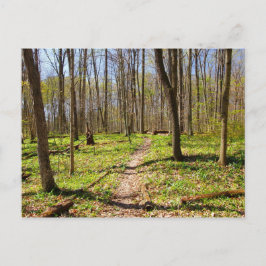 Cartão Postal Trilha Woodland em Primavera precoce