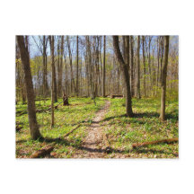 Trilha Woodland em Primavera precoce