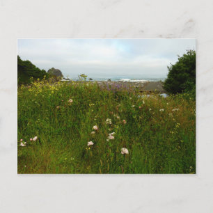 Cartão Postal Trilha Yurok Loop no Parque Nacional de Redwood