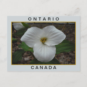 Cartão Postal Tríllio de Ontário, Canadá