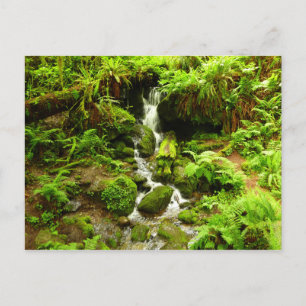Cartão Postal Trillium Falls no Parque Nacional de Redwood