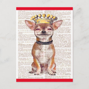 CARTÃO POSTAL - TRIM VERMELHO DE CHIHUAHUA FELIZ