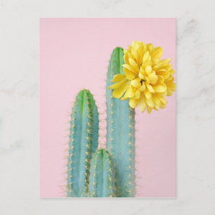 Cartão Postal Trio de Cactus Azul