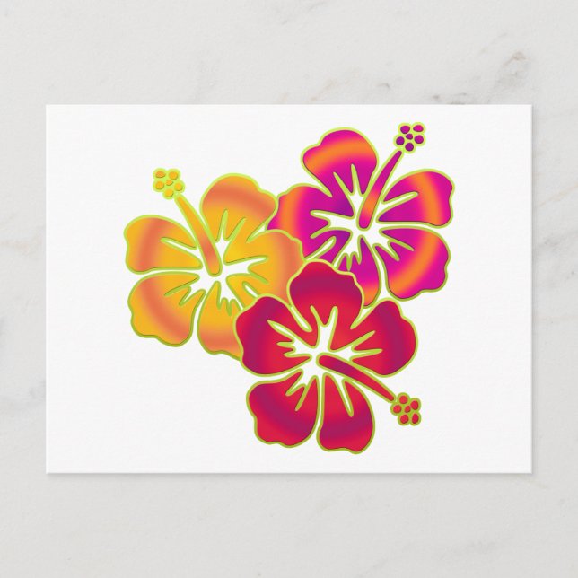 Cartão Postal trio de hibisco (Frente)