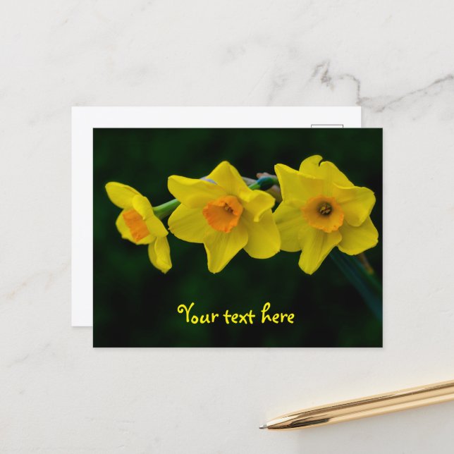 Cartão postal Trio de Narcisos (Frente/Verso In Situ)
