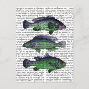 Cartão Postal Trio de Peixes Azul e Verde