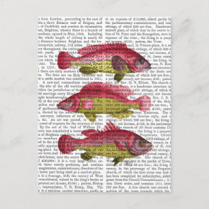 Cartão Postal Trio de Peixes Fantasia Vermelhos e Amarelos