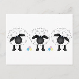 Cartão Postal Trio dos carneiros