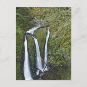 Cartão Postal Triple Falls, Desfiladeiro do Rio Columbia