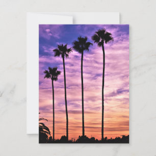 Cartão Postal Triplo Sunset de Árvore de Palma