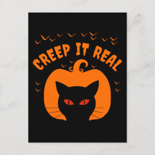 CARTÃO POSTAL TRIPULAÇÃO DE TI REAL ENGRAÇADO DE GATO HALLOWEEN