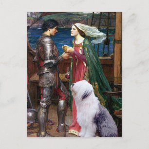 Cartão Postal Tristam e Isolda-Old English Sheepdog 1