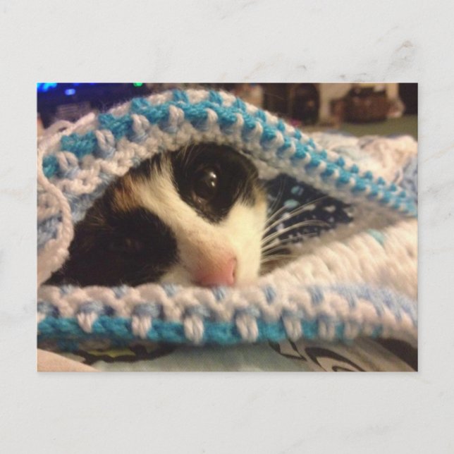 Cartão Postal Trixie e o blues (Frente)