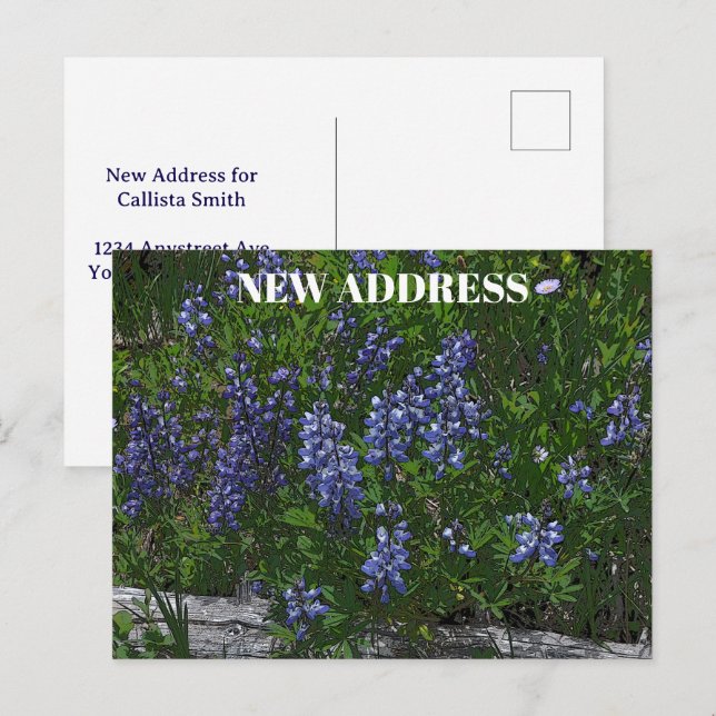 Cartão Postal Trocando de Endereço dos Lupinos (Frente/Verso)