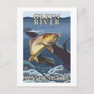 Cartão Postal Troço de pesca de Trout - Rio Verde, WA