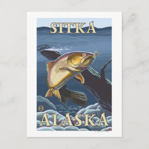 Cartão Postal Troço De Pesca De Trutas - Sitka, Alasca
