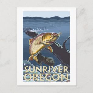 Cartão Postal Troço De Pesca De Trutas - Sun River,