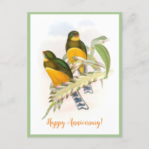 Cartão Postal Trogon de Macklot (1850-1883)