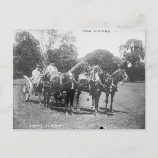 Cartão Postal Tróika Americana 1911