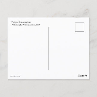 Cartão Postal Trolly Miniatura