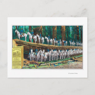 Cartão Postal Tropa I na frente do gigante Fallen