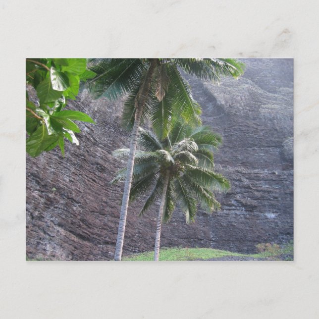 Cartão Postal Tropical (Frente)