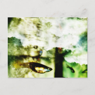 Cartão Postal Tropical