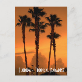 Cartão postal Tropical de Paraíso na Flórida