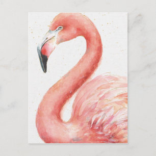 Cartão Postal Tropical Flamingo rosa