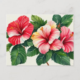 Cartão Postal Tropical Hawaii Red Hibiscus