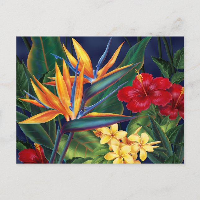 Cartão postal Tropical Paraíso (Frente)