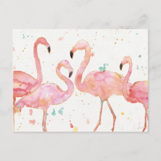 Cartão Postal Tropical | Recolha de Flamingos (Frente)