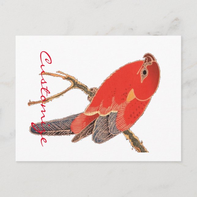Cartão Postal Tropical Red Parrot Thunder_Cove (Frente)