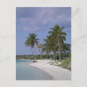 Cartão Postal Tropical Settings