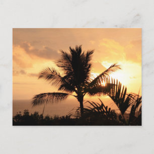 Cartão postal tropical sunset ouro