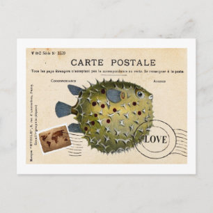 Cartão Postal Tropival Vintage Fish Love