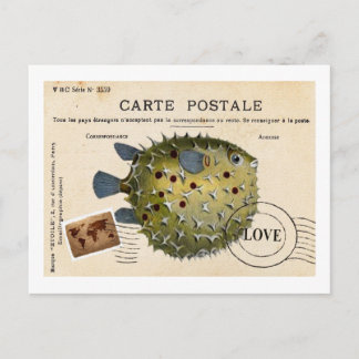 Cartão Postal Tropival Vintage Fish Love